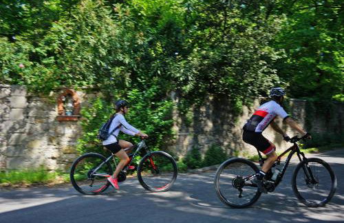 Domus Cariana - Foto 15