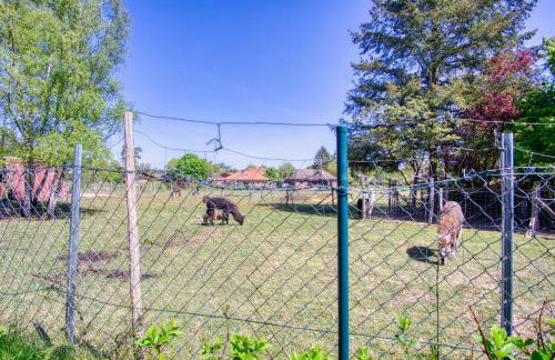 Tom olen Stien - Heidjer Ferien - Foto 11