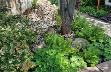 FeWo Zieger - Urlaub in Franken - Foto 57