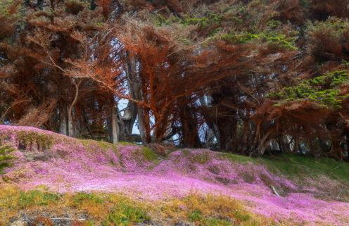 1 block to beach, Private Hot Tub, Fire Pit and BBQ - Foto 39