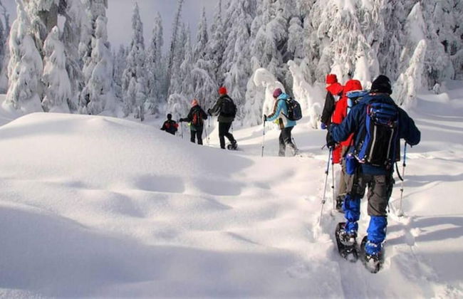 Mt Green Quick Walk to Lift Pool Sauna hot tub - Foto 35