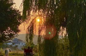 country house pecora nera - Foto 28