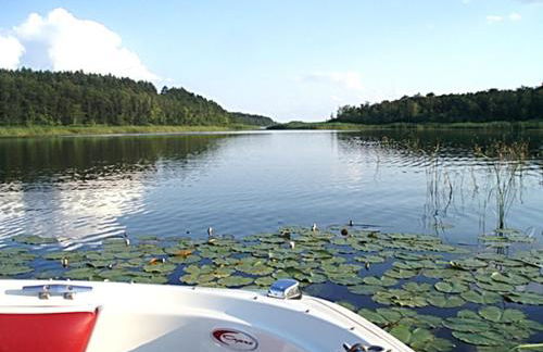 -Waldhaus-Fewo 4 - Foto 5