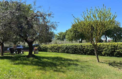 Il giardino delle rose - Foto 28