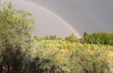 Country home in the Chiantishire close to Florence - Foto 18