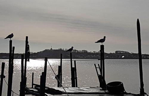 Ferienwohnung Bergholz - Foto 13