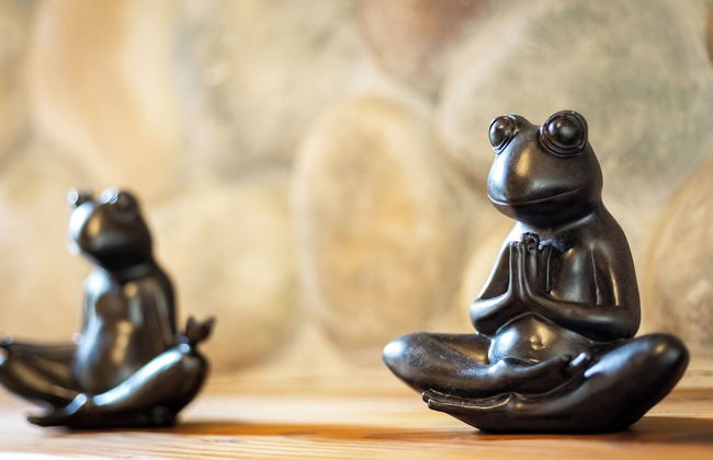 Sutter Trail Sparkles - Air Conditioned Large Family Home! - Foto 35