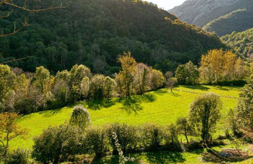 Aguas Parque Ponga - Foto 11