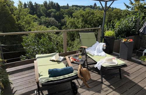 Schiller Ferienwohnung, Pool, Nideggen, Eifel - Foto 38