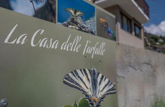 La casa delle farfalle - CIR VDA SARRE 0001 - Foto 16