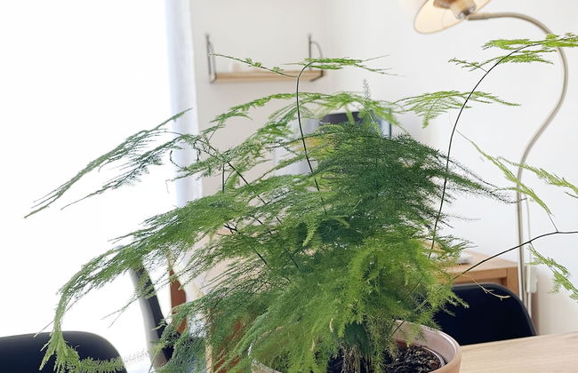 Maison de campagne - Photo 79