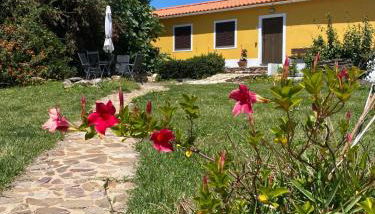 Quinta Cunte - Casa Girassol - Foto 3, Garden