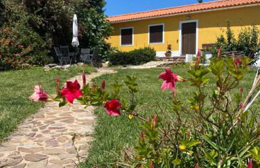 Quinta Cunte - Casa Girassol - Foto 3