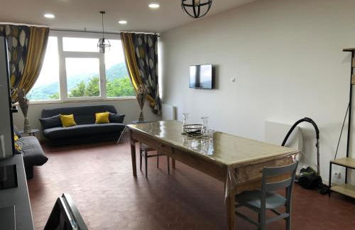 appartement 10 couchages le lioran bord rando/ski - Foto 2