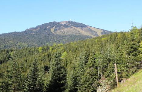 Ferienwohnungen Ludwigsthal - Foto 26