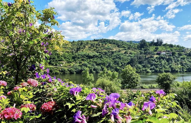 Lovely 1-bed Apartment in Santa Cruz do Douro - Photo 16