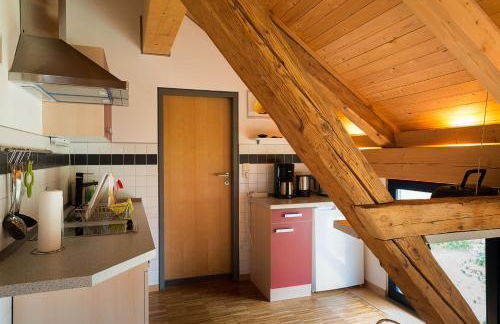 Alte Scheune Rietzschelhof mit Pool - Foto 21