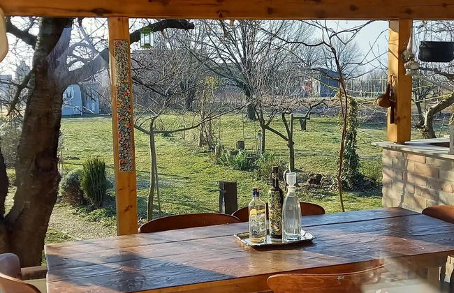 Holiday Home Paunovaca - Foto 12