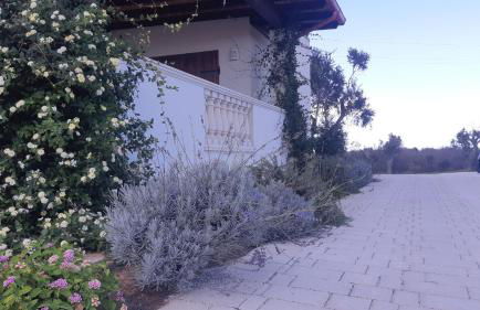 Mariam Holiday House - Foto 26