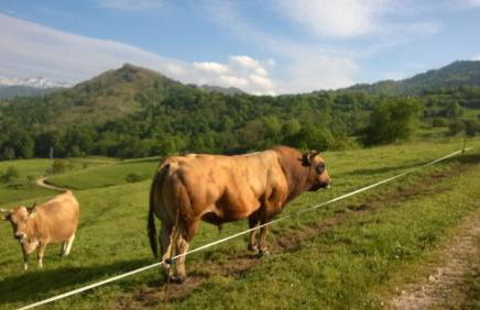 El Portiellu - Foto 72
