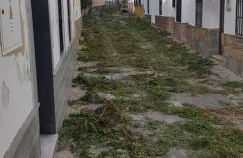 Casita de Rosario - Foto 8