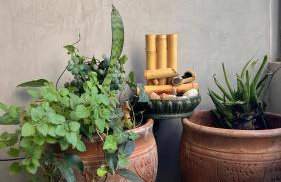 Brava Garden MaxHaus - Foto 24