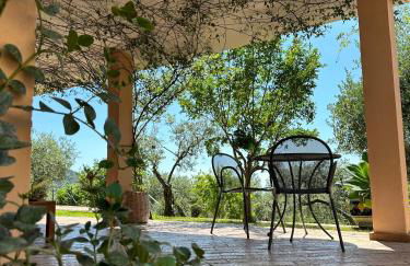 Azienda Agricola Passaro - Photo 11