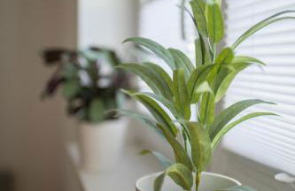 HUGOS Design Apartment am Waldrand - ruhig & modern - Foto 26