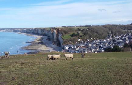 Traditional fisherman cottage - Foto 13