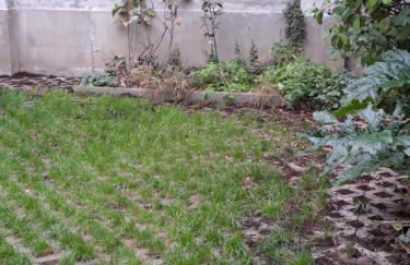 Mint House & Marie Antoinette-Pala Alpitour- Private Parking - Foto 80