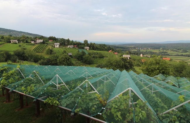 Vineyard Cottage Stepan - Foto 24