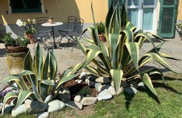 La casa di nonna Rosmi - Foto 9