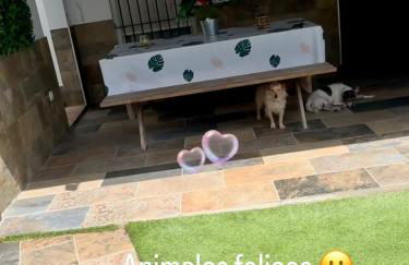 Alojamientos Rurales Vanesa 2 - Foto 17