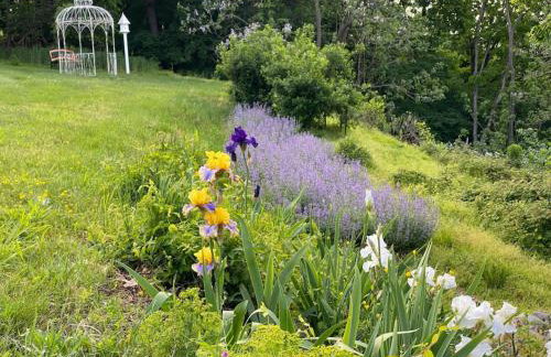 Riverview Suite at La Soledad - Foto 17