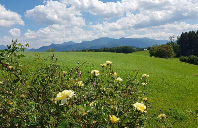 Mountain View Comfortable Holiday Residence - Photo 22