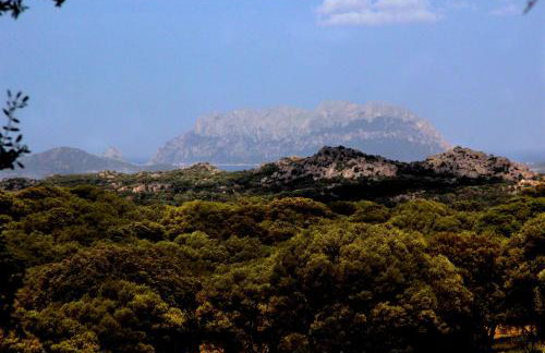Stazzu Spadulagliu near Olbia - Photo 24