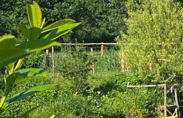 Landgut zur Mühle - Foto 33