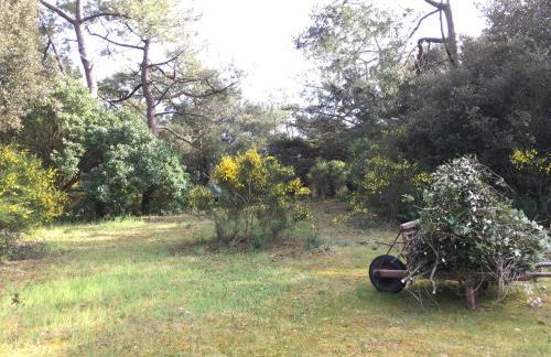 Grande maison face à l'océan - Photo 2