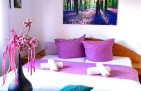 FeWo Sartorius am Hemsberg - Foto 1