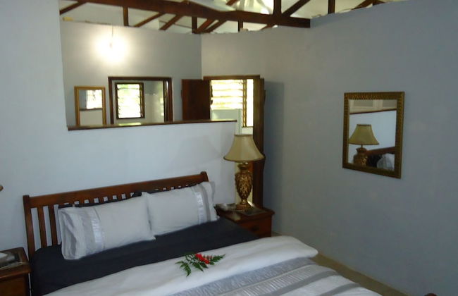 Troppo Mystique - Photo 6