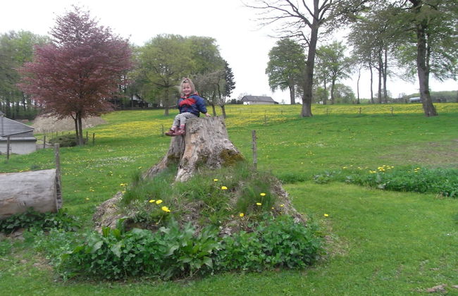 Home in Burg Reuland With Sauna, Terrace - Foto 31