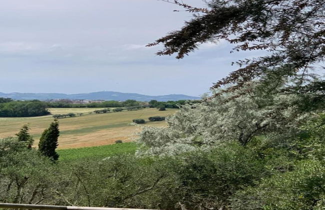 Inviting Holiday Home in San Costanzo With Swimming Pool - Foto 60