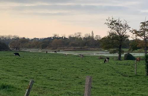 La Grande Hogue - Foto 9