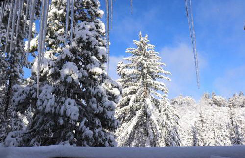 Spacious Lake Arrowhead Home with 2 Decks and Views - Foto 30