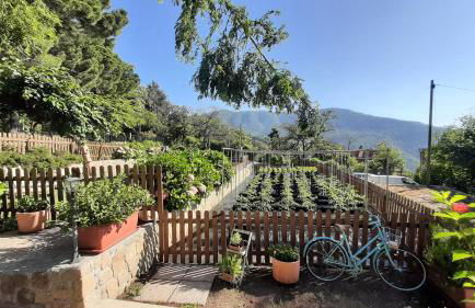 Ca' De Angiolina - Foto 43