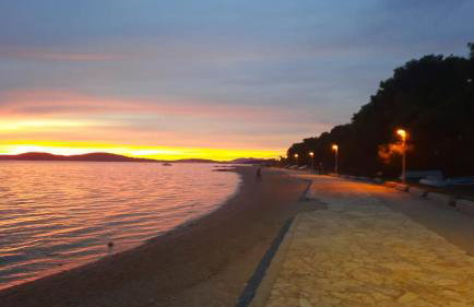 Oleander adria - Foto 28