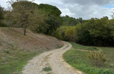 Charmant Studio proche Lac et Forêt - Photo 19