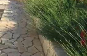 Miro Apartmani - Photo 70