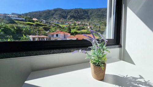 Machico Oasis - Mountainview - Photo 3