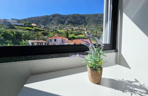 Machico Oasis - Mountainview - Photo 3